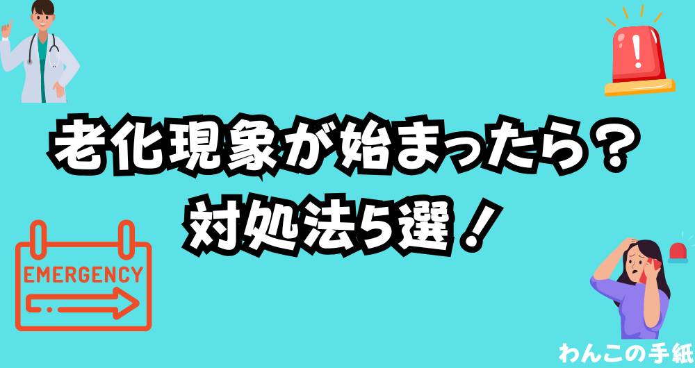 犬の後ろ足の老化の対処方法