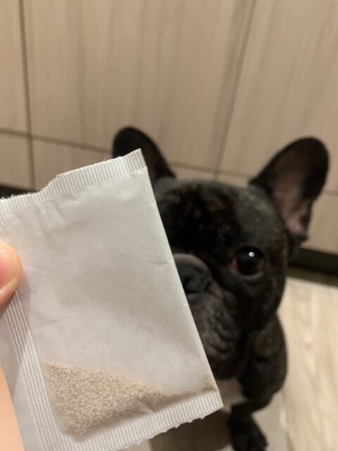 犬の漢方