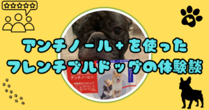 アンチノールプラスを使った体験談!フレンチブルドッグへの効果は?