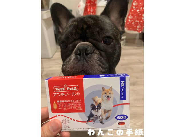 アンチノールプラスとフレンチブルドッグ