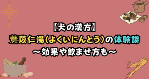 犬の薏苡仁湯（よくいにんとう）の効果は？体験談をもとに飲ませ方も徹底解説