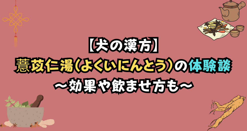 犬の薏苡仁湯（よくいにんとう）の効果は？体験談をもとに飲ませ方も徹底解説