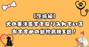 【茨城】犬の東洋医学（鍼灸治療）を扱うおすすめの動物病院5選！