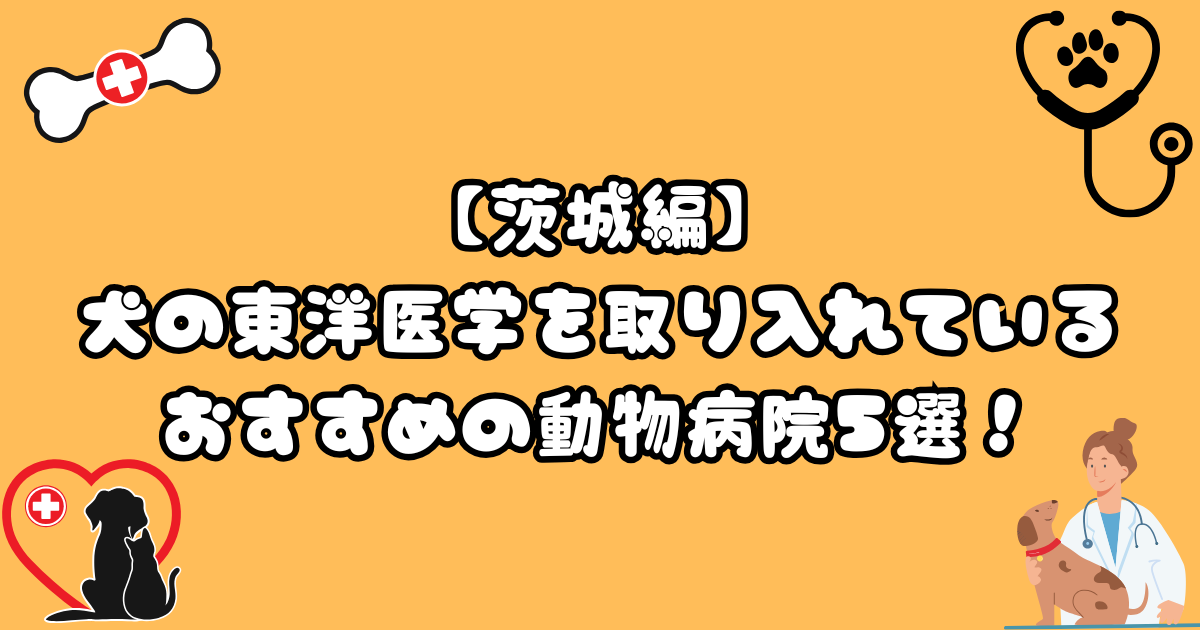 【茨城】犬の東洋医学（鍼灸治療）を扱うおすすめの動物病院5選！