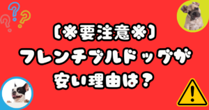 フレンチブルドッグが安い理由はなぜ?買ってはいけない○○とは