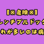 フレンチブルドッグのよだれが多いのは病気?危険な症状を詳しく解説