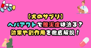 ヘパアクトで犬の胆泥症は治る？効果や副作用を徹底解剖