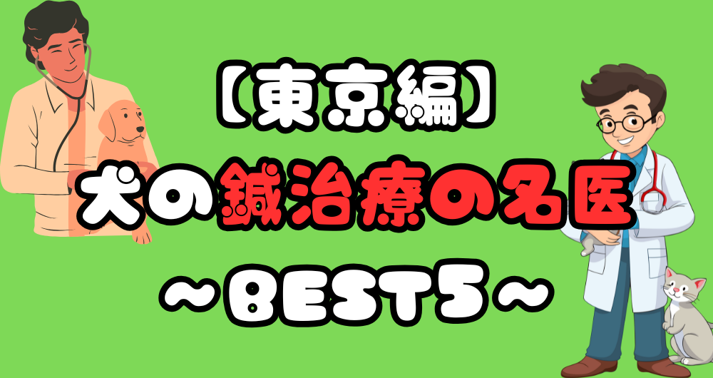 犬のヘルニアの鍼治療の名医を紹介！～東京の病院編～