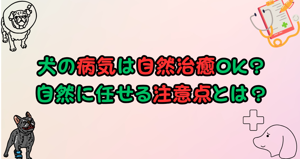 犬の病気は自然治癒できる？自然に任せる際の注意点まとめ