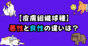犬の皮膚組織球種の悪性と良性の違いは？老犬に多い理由も紹介