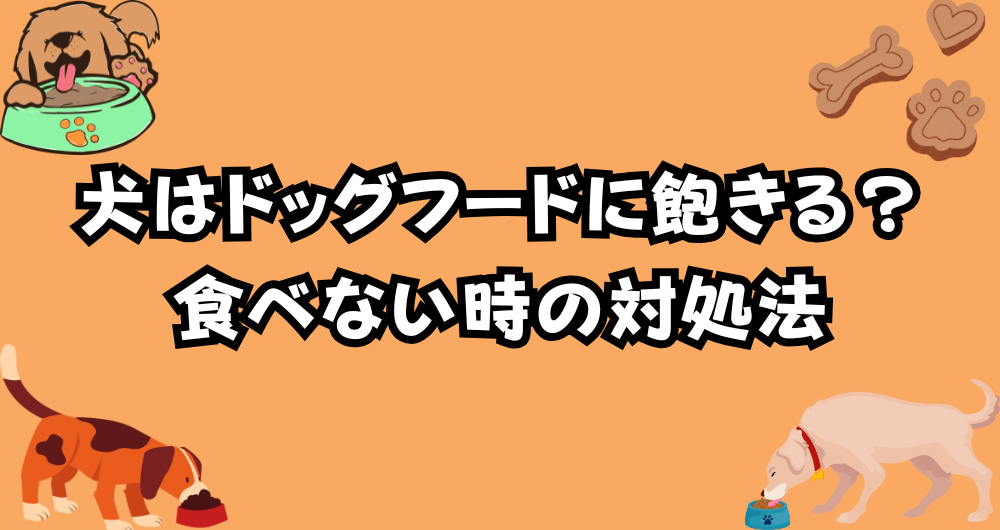 犬はドッグフードに飽きる？わがままで食べない場合の対処法とは