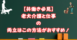 老犬介護と仕事の両立は大変?夫婦共働きでもこの方法なら大丈夫