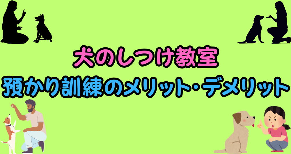 犬のしつけ教室は預かり訓練が良い？メリットとデメリットを徹底解説