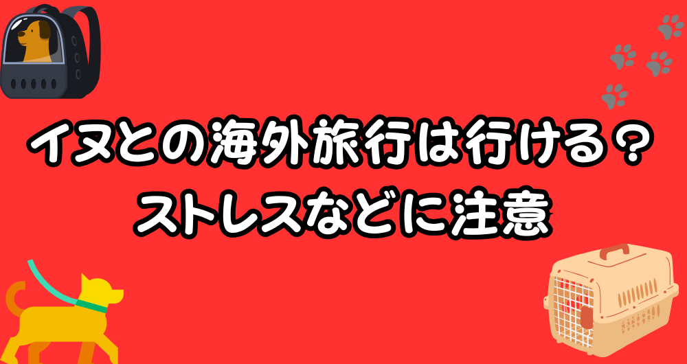 犬を海外旅行に連れて行くのはストレス？預ける場合の注意点とは