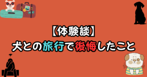 【体験談】犬との旅行で後悔したことは?楽しく旅するコツも紹介