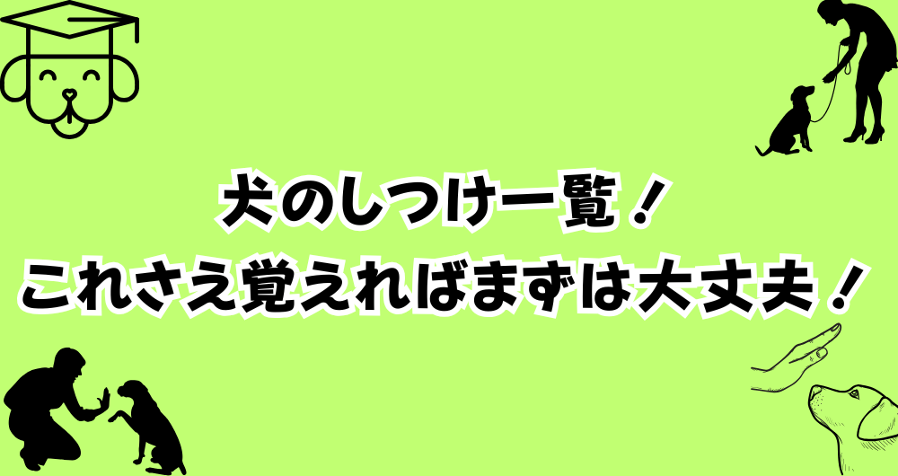 犬のしつけ一覧！コマンドを覚えて愛犬と楽しく暮らそう