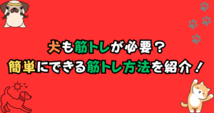 犬も筋トレが必要?筋肉をつけるには何をすべきかを徹底解剖
