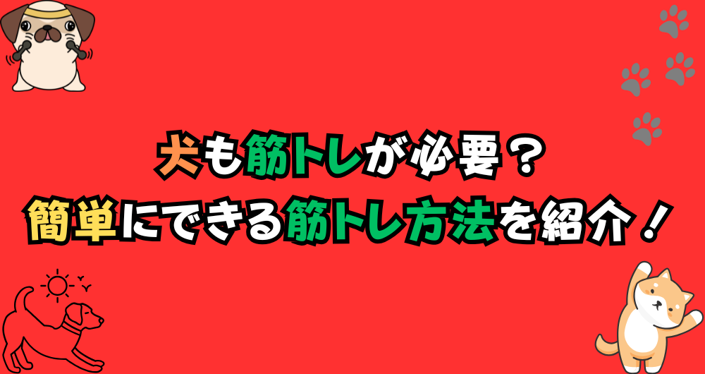 犬も筋トレが必要？筋肉をつけるには何をすべきかを徹底解剖