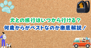 犬と旅行はいつから一緒に行ける?何歳からがいいかの答えはこちら