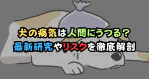 犬の病気は人間にうつる？最新研究と専門家が語るリスクと徹底予防ガイド