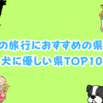犬との旅行におすすめ県は?犬に優しい県ランキングTOP10