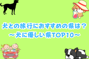 犬との旅行におすすめ県は?犬に優しい県ランキングTOP10