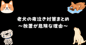 老犬の夜泣き対策で放置は危険？原因・対処法・安眠できる環境づくりとは