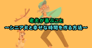 老犬が喜ぶこととは？シニア犬との幸せな時間を作る方法