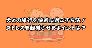犬と快適に旅行する方法！ストレスを軽減させるポイントとは？