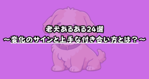 【保存版】老犬あるある24選｜変化のサインと上手な付き合い方とは？