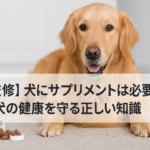 【獣医監修】犬にサプリメントは必要か?愛犬の健康を守る正しい知識