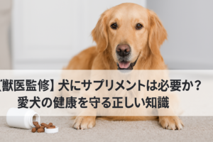 【獣医監修】犬にサプリメントは必要か?愛犬の健康を守る正しい知識