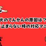犬のてんかんの原因とは？発作が止まらないときの対応マニュアル