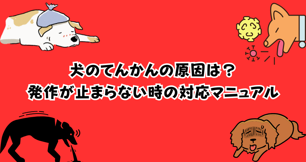 犬のてんかんの原因とは?発作が止まらないときの対応マニュアル