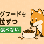 犬がドッグフードを一粒ずつしか食べないのは病気?原因と改善策まとめ