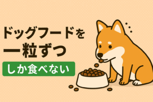犬がドッグフードを一粒ずつしか食べないのは病気?原因と改善策まとめ