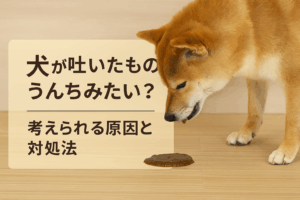 【要注意】犬の嘔吐物ががうんちみたい?考えられる原因と対処法