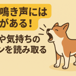 犬の鳴き声には理由がある!感情や気持ちのサインを読み取る方法