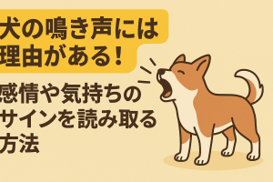 犬の鳴き声には理由がある!感情や気持ちのサインを読み取る方法