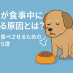 老犬が食事中にむせる原因とは?安全に食べさせるための対処法5選