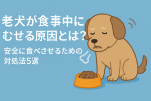 老犬が食事中にむせる原因とは?安全に食べさせるための対処法5選