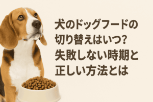 犬のドッグフード切り替えはいつ？失敗しない時期と正しい方法とは