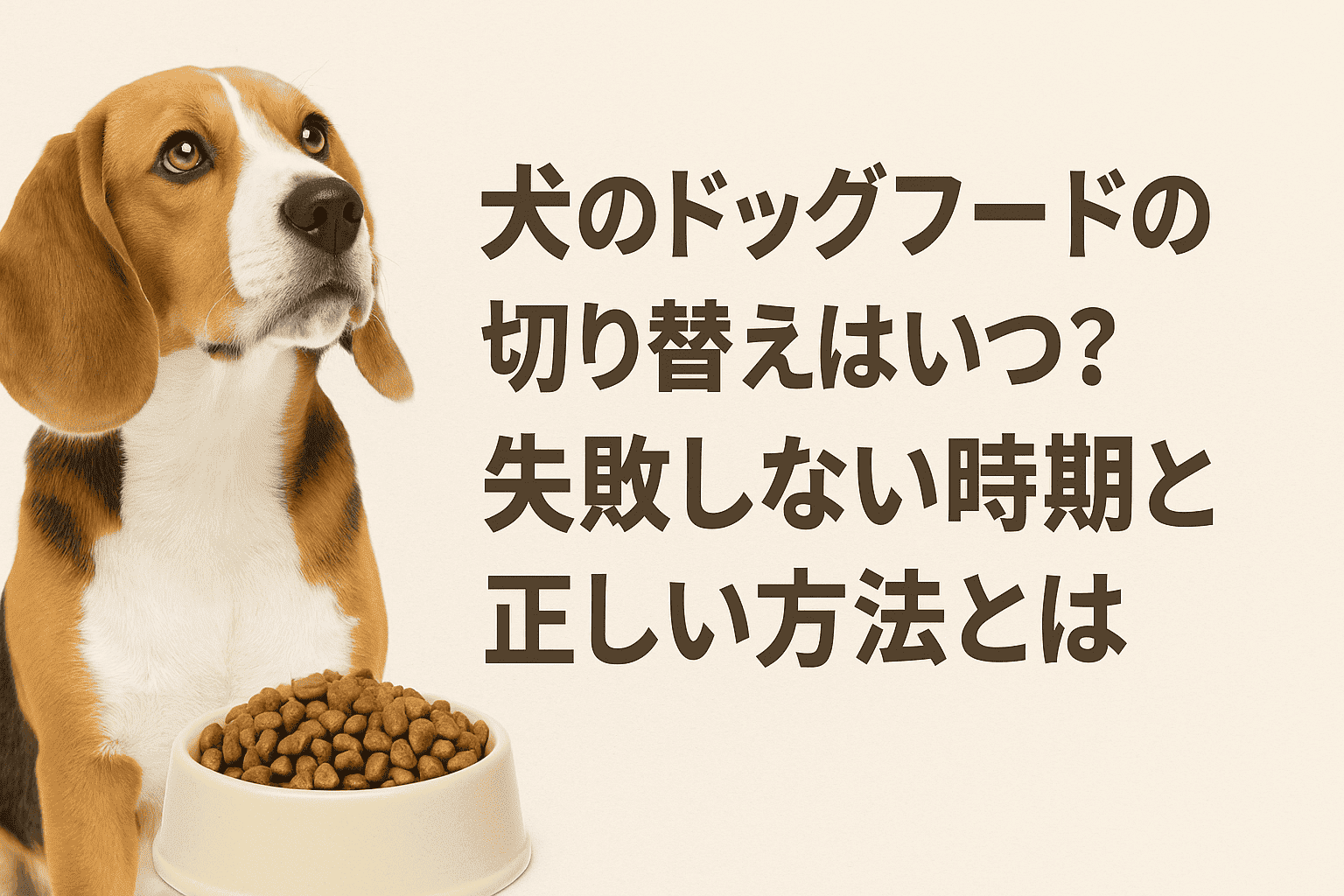 犬のドッグフード切り替えはいつ?失敗しない時期と正しい方法とは