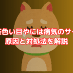 犬の茶色い目やには病気のサイン?原因と対処法を解説