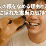 犬が人の顔をなめる理由とは?行動に隠れた本当の気持ち