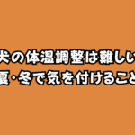 老犬の体温調節は難しい?夏・冬に注意すべき室温と対策