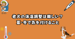 老犬の体温調節は難しい?夏・冬に注意すべき室温と対策