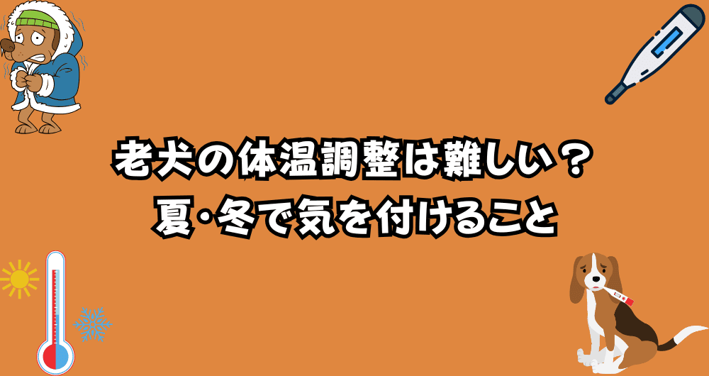 老犬の体温調節は難しい？夏・冬に注意すべき室温と対策