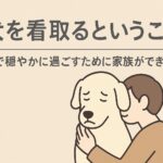 老犬を看取るということ。最期まで穏やかに過ごすために家族ができる準備